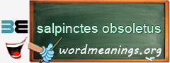 WordMeaning blackboard for salpinctes obsoletus